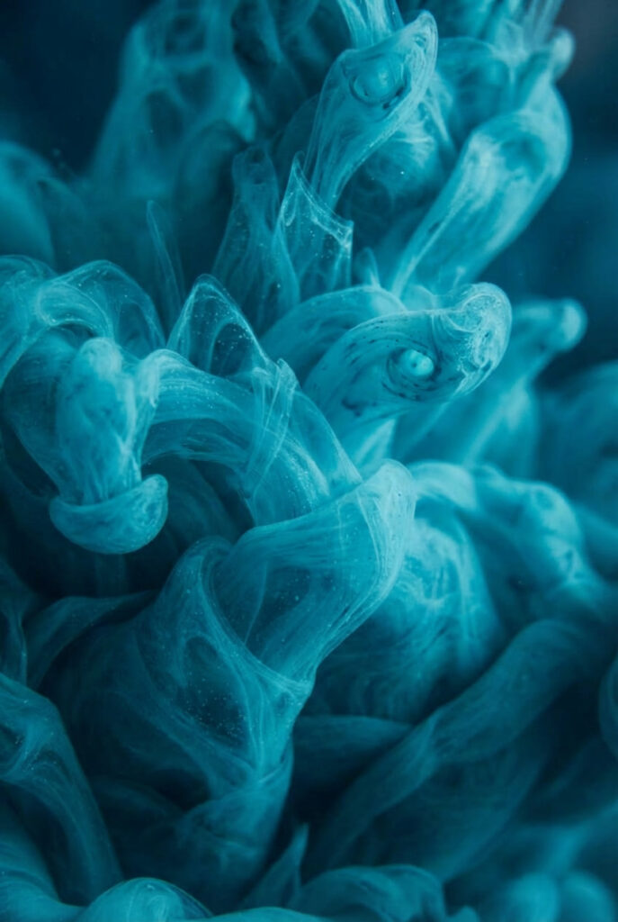 gemini image 2 mach mehr davon makro aufnahme 0